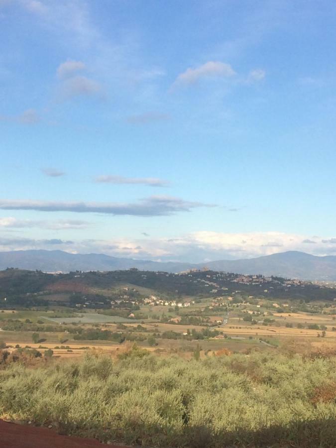 Mansarda Degli Ulivi Apartment Rigomagno Luaran gambar