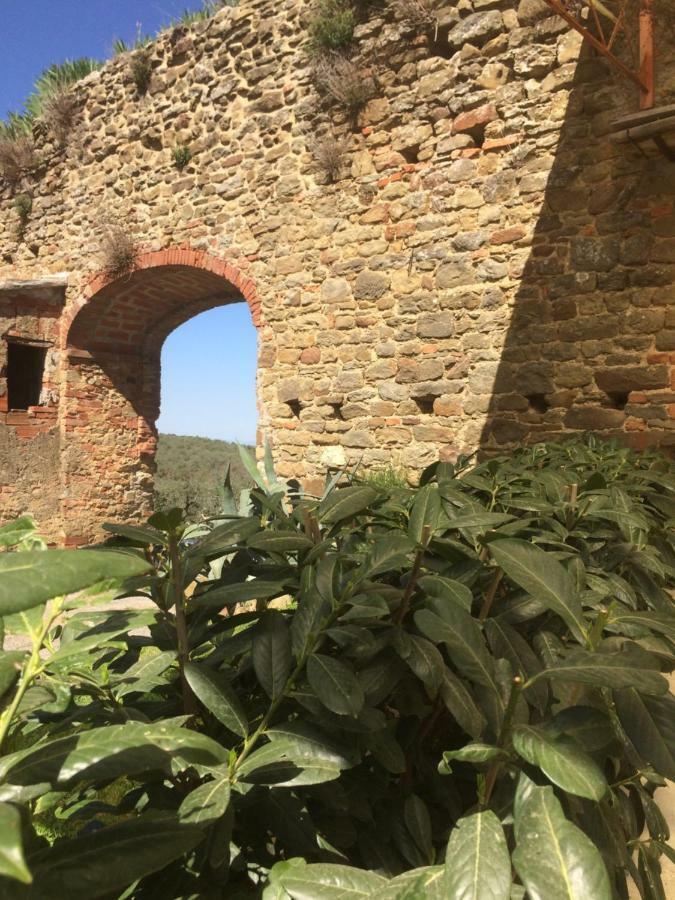 Mansarda Degli Ulivi Apartment Rigomagno Luaran gambar