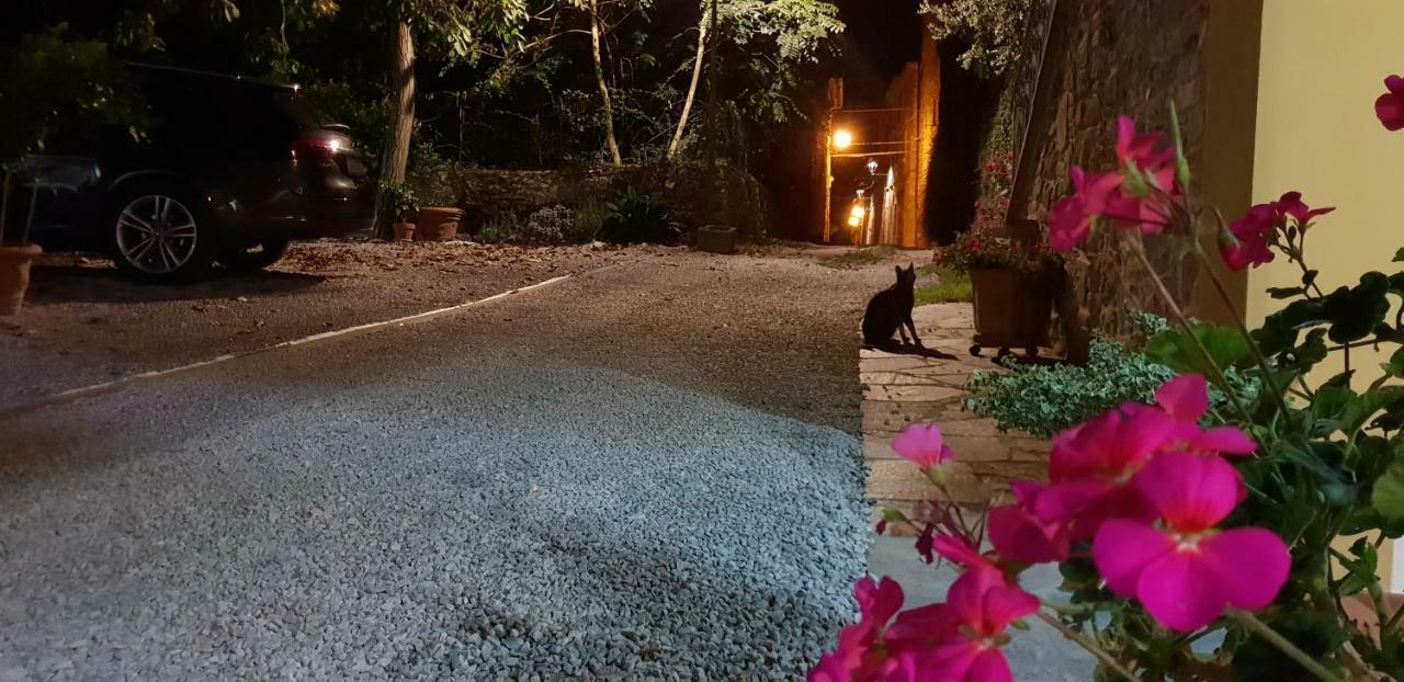 Mansarda Degli Ulivi Apartment Rigomagno Luaran gambar